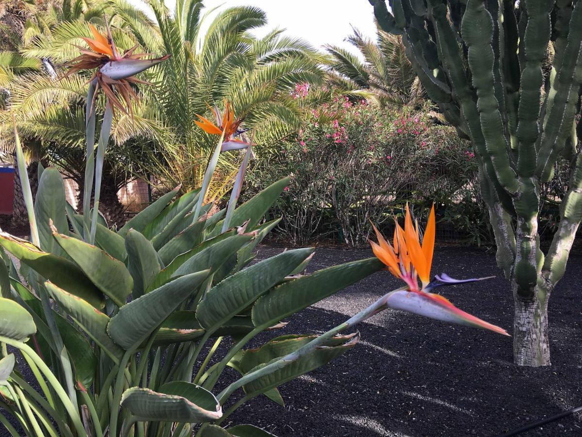 Casa Panama,In Der Finca Mimosa Teguise  Buitenkant foto